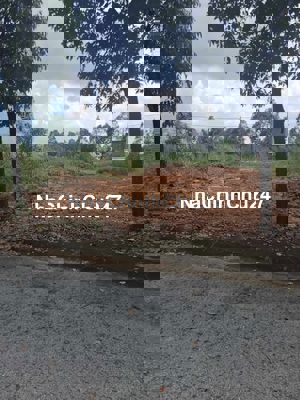 Chỉ 1 lô ***, chủ cần tuền gấp