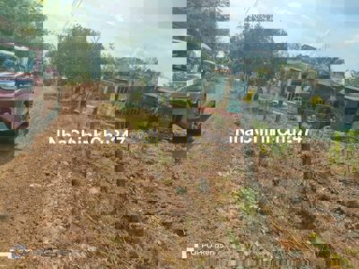 đất sào giá ngộp , chính chủ sổ sẵn