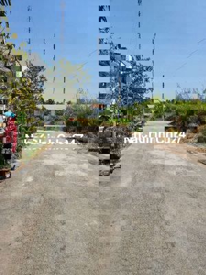 Cần ra đi cứu chủ