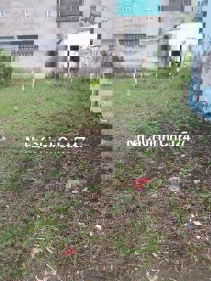 Chính chủ cần bán gấp lô đất thổ cư Lộc Tiền, Mỹ Lộc, Cần Giuộc