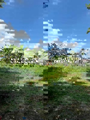 CHÍNH CHỦ CẦN BÁN ĐẤT THỔ CƯ – XÃ LONG HÒA, TỈNH LONG AN 📍 Vị trí: Xã