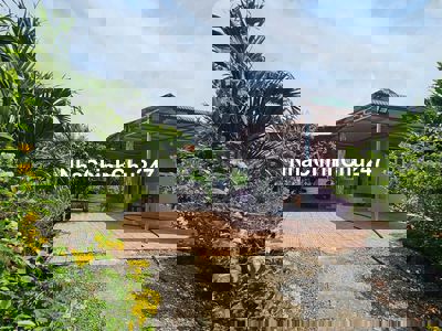 Chủ Ngộp Cần Bán Gấp Lô Đất Vườn