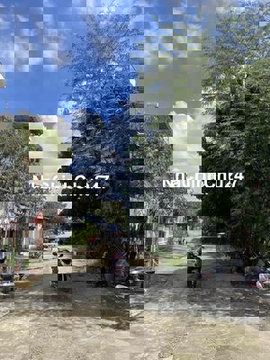 Chính chủ bán 2 lô đất view sông An Phú Đông - 116m2/lô full thổ