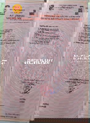 🆘CHÍNH CHỦ GỬI BÁN ĐẤT 5 x 19mĐƯỜNG XUÂN THỚI SƠN 36,GẦN NGÃ BA GIỒNG