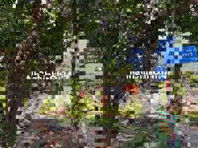 Chính chủ cần bán gấp đất Phước Đồng, TP Nha Trang, Tỉnh Khánh Hòa