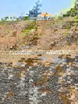 chính chủ cần bán