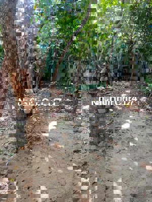 Đất hẻm 297 Trường Chinh, An Khê, Đà Nẵng