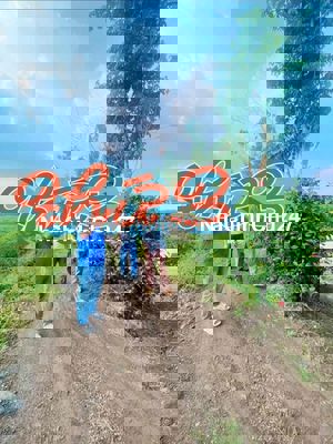 Chủ Ngợp Cắt lỗ Đất Sào 1 / 765