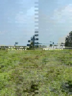 Chính chủ bán đất thổ cư giá rẻ - ĐỨC HÒA hơn 700m2