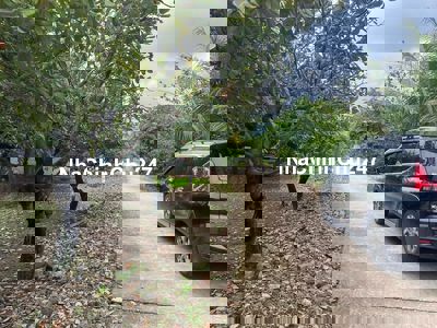 CHÍNH CHỦ BÁN ĐẤT GẦN TTHH ĐỨC MẸ TÀPAO CHỈ 795 TR.