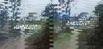 Chủ hạ giá bán gấp 2485m2 lúa mt Sông Vàm cỏ trọn sổ 550tr