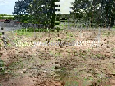 Chủ ngộp cần sang hơn 1000m2 đất vườn có thổ, SHR giá rẻ liền tay