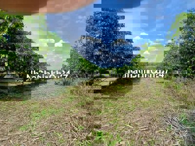 Ông Chủ Đi Xuất Ngoại Cần Bán Gấp 2000m2 Gần KCN Định Quán Đã Có SHR