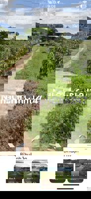 CHÍNH CHỦ Cần Bán Nhanh Lô Đất Hàm Thạnh, Hàm Thuận Nam, Bình Thuận.