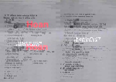 BÁN NHÀ CHÍNH CHỦ HẺM xe hơi NGUYỄN VĂN CÔNG, P3, QUẬN GÒ VẤP