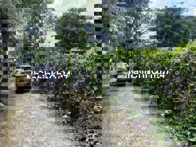 Đất nền chính chủ tại Bình Mỹ, Củ Chi, Hồ Chí Minh, 115,3 m2