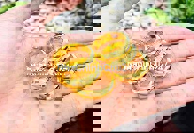 Chính chủ bán nhà lô góc An Thượng, có hoa hồng Môi giới.