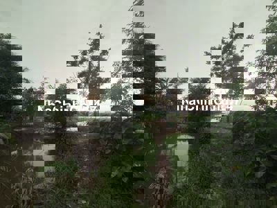 Chính chủ có đất Đại Thanh Tam Hiệp Thanh Trì hợp làm homestay hoặc ở