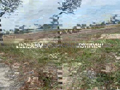 🏡 CHÍNH CHỦ BÁN ĐẤT THỔ CƯ 100% – KHU DÂN CƯ RESCO, XÃ ĐỨC LẬP THƯỢNG,