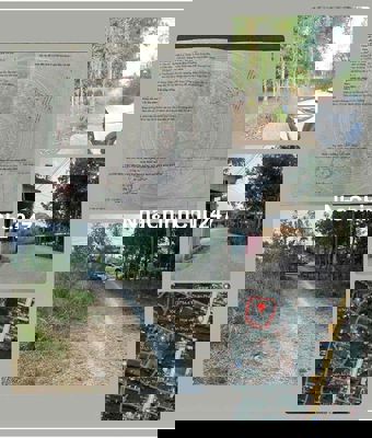 Tôi chính chủ cần bán gấp đất 139.2m2 Lai uyên Bàu Bàng giá chỉ 795 tr