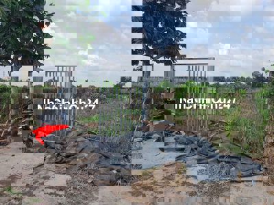 Sổ đỏ chính chủ, bán gấp đất vườn