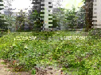 Chính chủ cần bán 200m2 đất ở Quan Châu