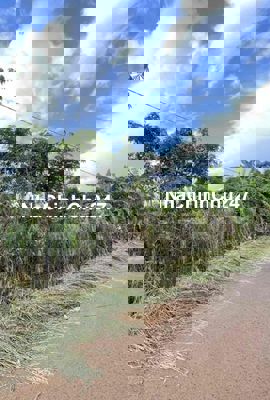 🏡 CHÍNH CHỦ CẦN BÁN ĐẤT TẠI XÃ CẨM ĐƯỜNG – LONG THÀNH – ĐỒNG NAI 🏡  📍