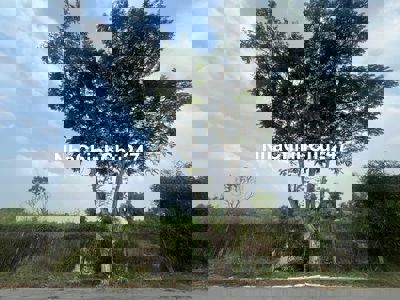 Chính chủ cần bán gấp đất trung tâm Cần Giờ 1700m2 có 1000m2 thổ cư