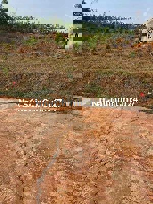 Chính chủ bán nhanh 200m2 đất thổ cư Hơn Quảng 190tr đường dân cư