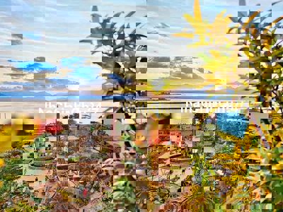 chính chủ nay em cần bán, căn viu phố hướng nam mát mẻ .