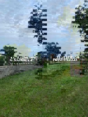 🌳 CHÍNH CHỦ BÁN ĐẤT ĐẸP GẦN VINHOMES HÓC MÔN – GIÁ TỐT! 🌳