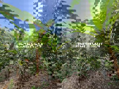 Chính Chủ Cần Bán Lô Đất Vườn