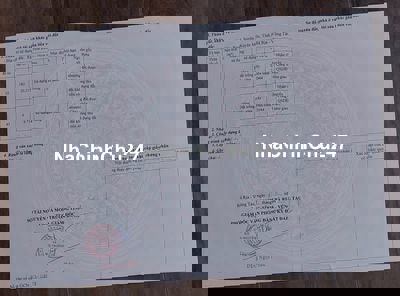 Chủ cần bán gấp gần 3hecta đất trồng cây lâu năm giá chỉ 9 tỷ