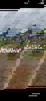 Chủ hạ giá bán gấp 1000m2 thổ lúa xã Tân Lân rẻ 1 tỏi 250tr