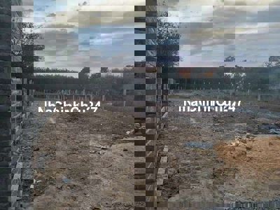 Chủ bán đất gần trường tiểu học Lai Hưng B ( Bến Tượng Bầu Bàng