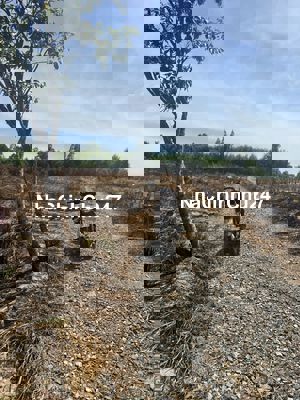 Cơ hội đầu tư hiếm có – Đất rộng 2000m² ngay Cù Chính Lan, chỉ 1 tỷ!