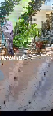 Chủ cần bán gấp đất tặng nhà cấp 4 kiệt ôtô bà bang nhãn NHS, TPĐN