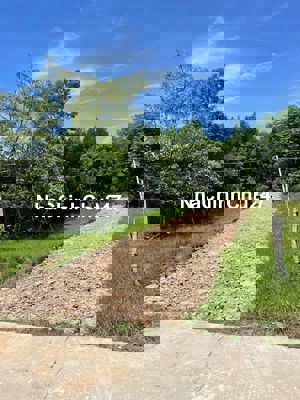 Chính Chủ Cần ra gấp lô đất ở Nam Hòa Tiến diện tích cực rộng