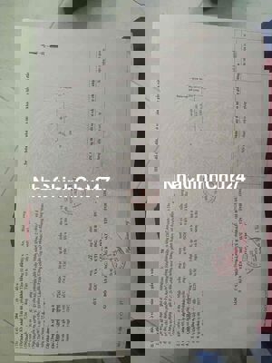 Chính chủ bán đất mặt tiền Tân An , Tân Đông Hiệp, TPHCM sổ riêng