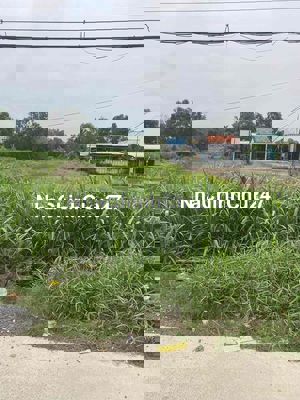 chính chủ cần bán đất mặt tiền đường T12 Bình Chánh