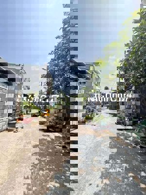 Bán đất shr chính chủ