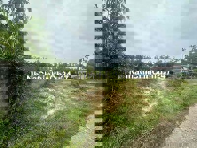 Đất sổ đỏ chính chủ 200m2, cách trục chính đường biển 500m