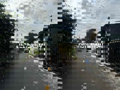 Bán nhà cấp 4, sổ hồng chính chủ, Hồ Tràm, TPHCM