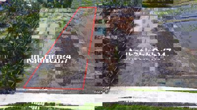 Chính chủ gửi bán 1500m² đất thổ vườn tại Gò Dầu –  Giá chỉ 1,3 tỷ!