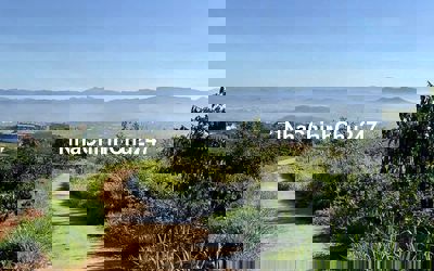 Chủ kẹt tiền cần bán mảnh đất view sông đẹp xã Tân Nghĩa, Lâm Đồng.