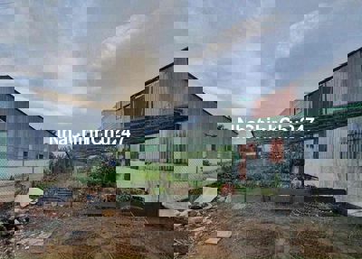 tui chủ đất bán gấp giá 1ty500 (239m2)