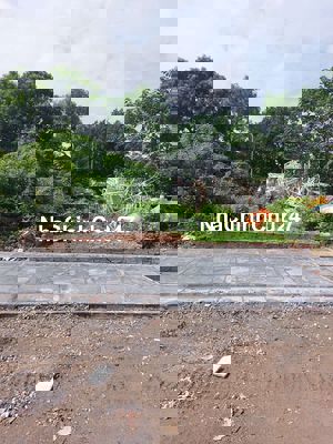 Chính chủ cần bán lô đất đẹp tại Dự Nội, Mai Lâm – Đông Anh