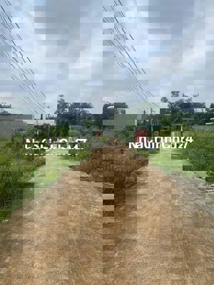 Chính chủ bán đất sổ sẵn 270m2, Lai Hưng, Bàu Bàng, ngay KCN Mỹ Phước