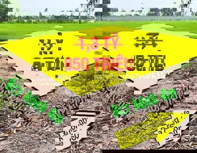 Giảm 45Otr! Đất thổ 1.019m² Long An hạ còn 850tr – chính chủ bán gấp