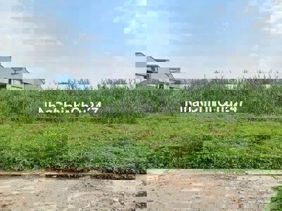 Chỉ 19 triệu/m2 - Chính Chủ Bán gấp Đất Biệt Thự - Sổ hồng riêng